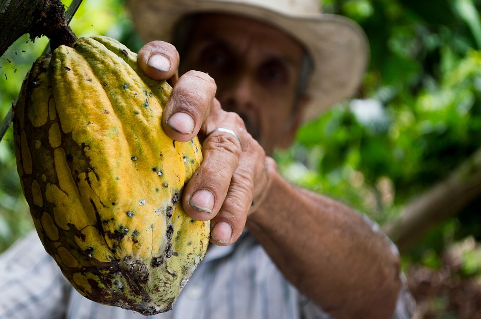 Le guide de voyage pour la Colombie