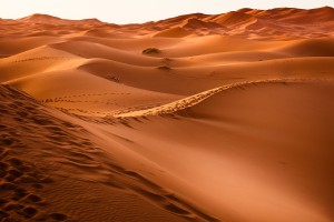 desert-1270345_1280