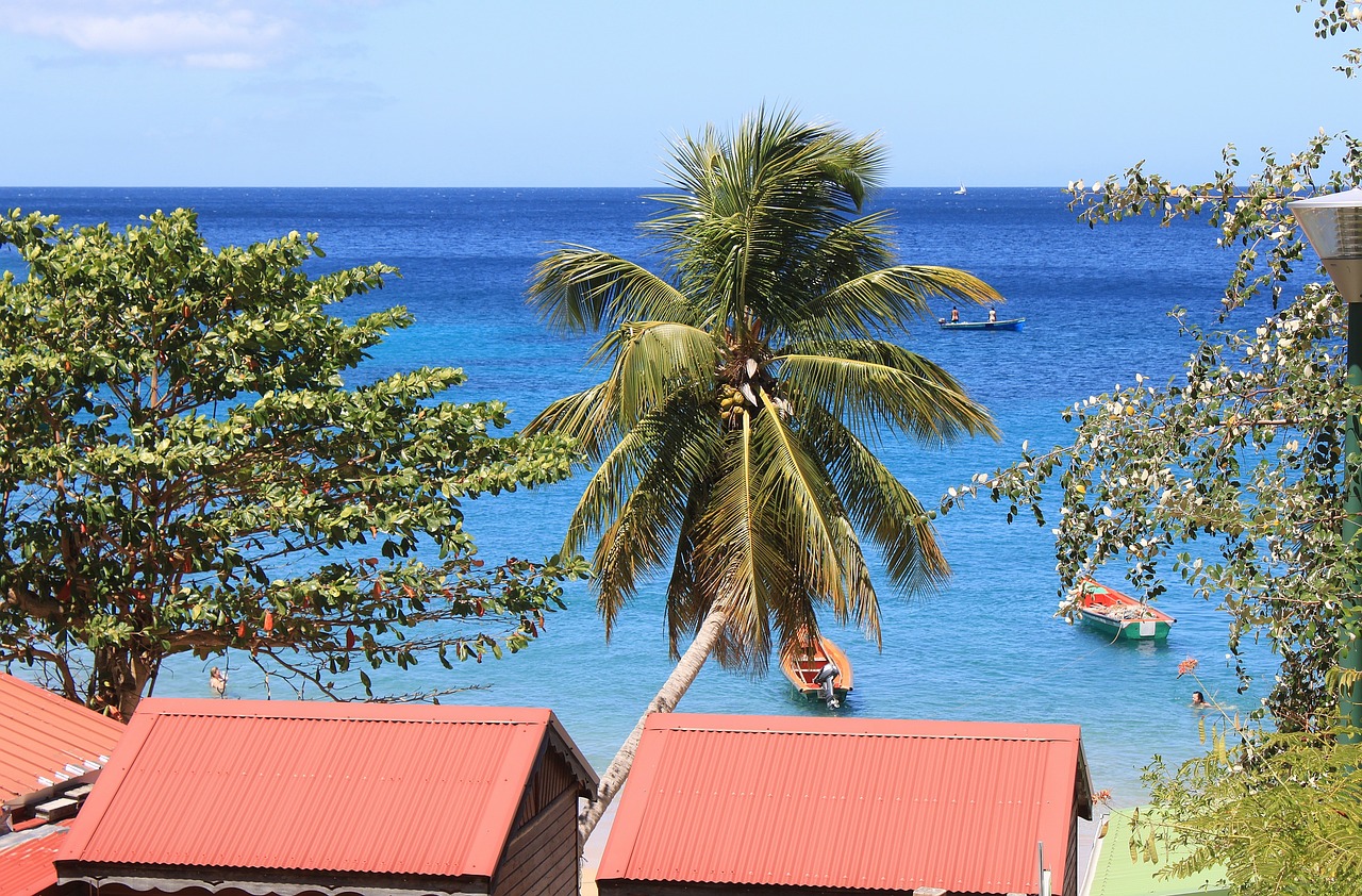 Martinique : Ce qu’il ne faut pas rater