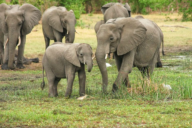 voyage afrique du sud