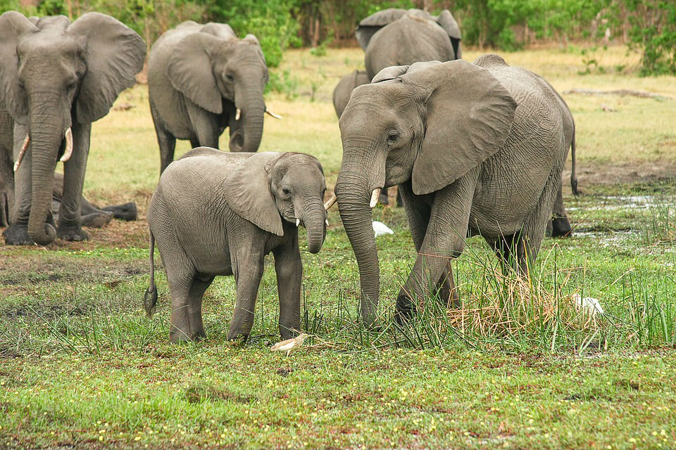 voyage afrique du sud