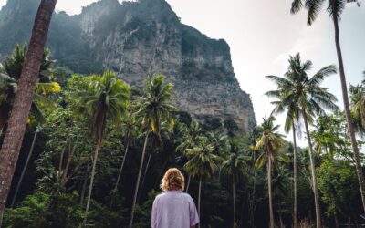 Les cartes de fidélité qui vous font économiser en voyage