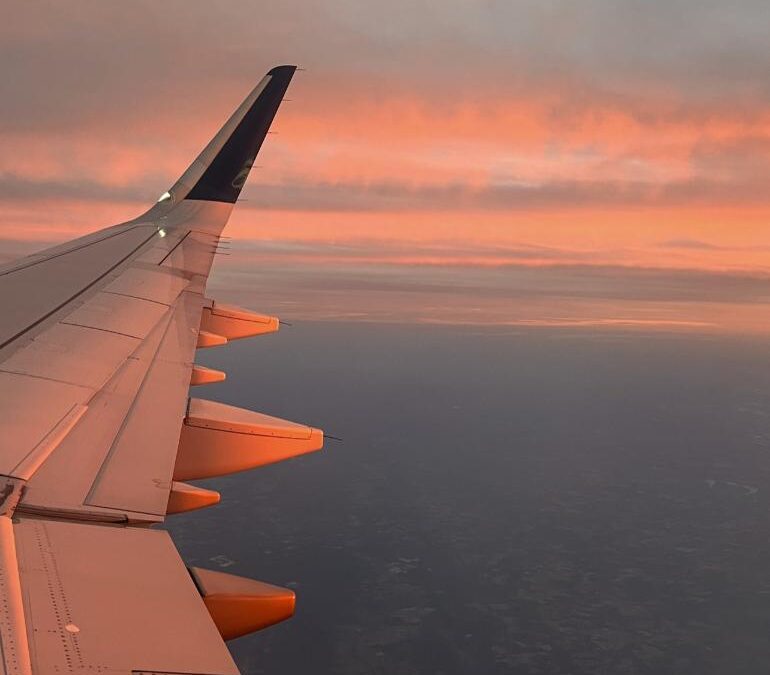 Déménagement France-USA : la garantie d’un service haut de gamme personnalisé